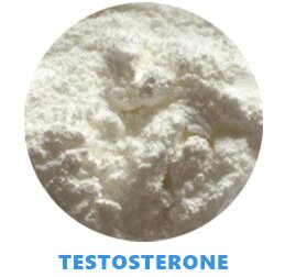 2-TESTOSTERONE-STEROID-POWDER-hubeipharmaceutical